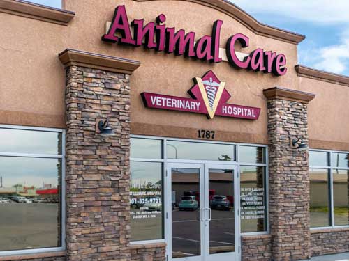 Roy Animal Care