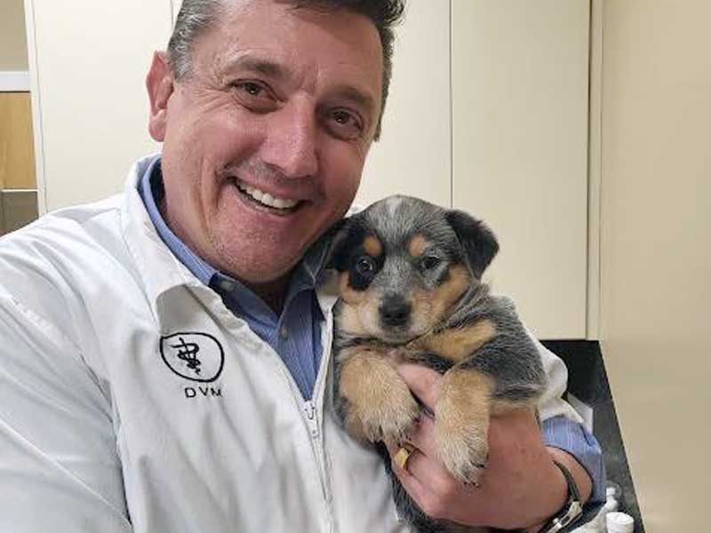 Veterinary Jobs in West Haven
